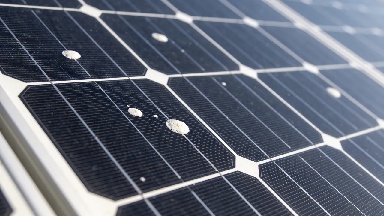 Bird droppings on solar panels - why rain won't fix it